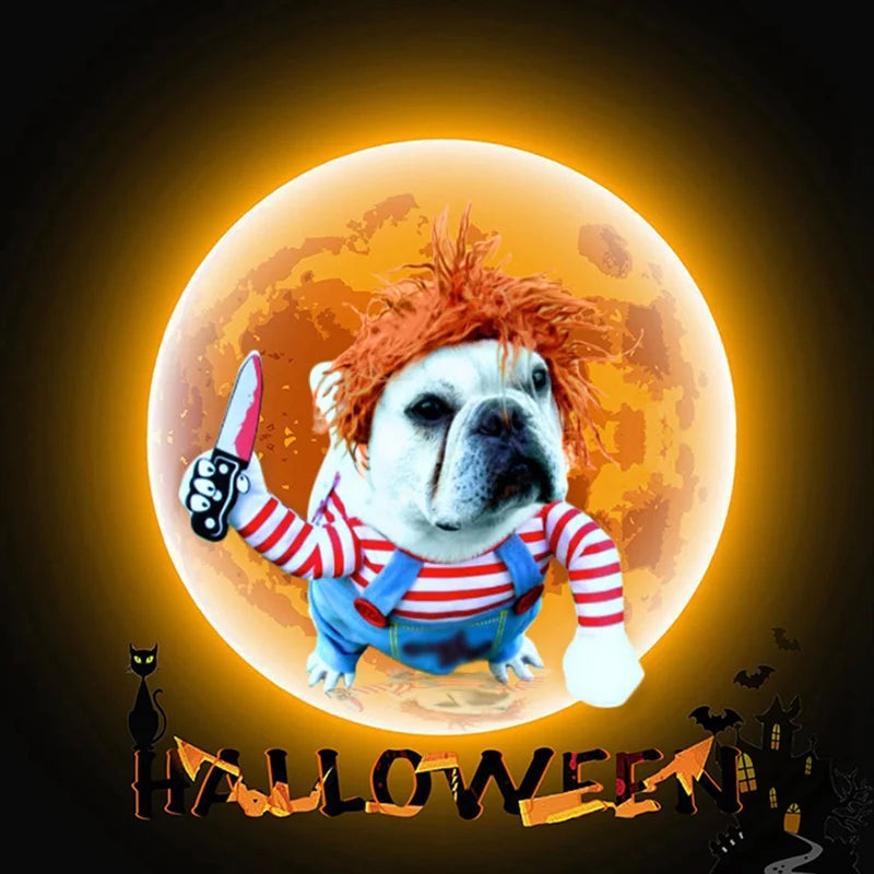 Lustiges Halloween Kostüm für ihren Hund oder Katze