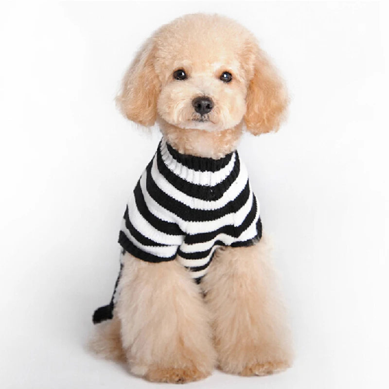 Halloween Hunde Pullover