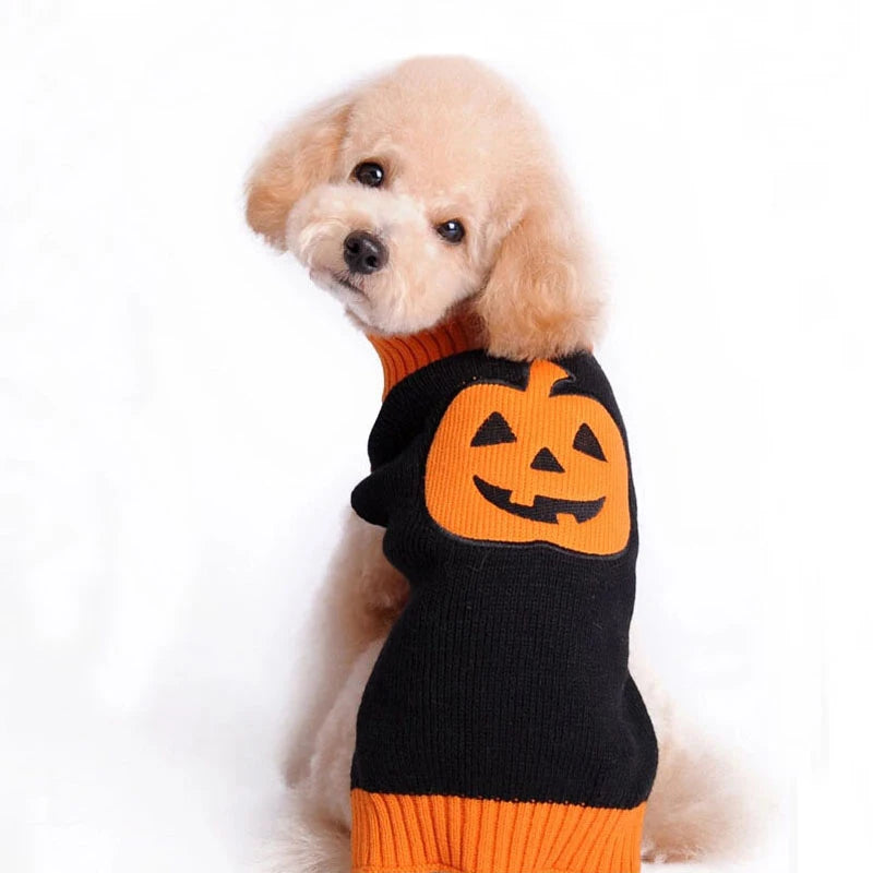 Halloween Hunde Pullover