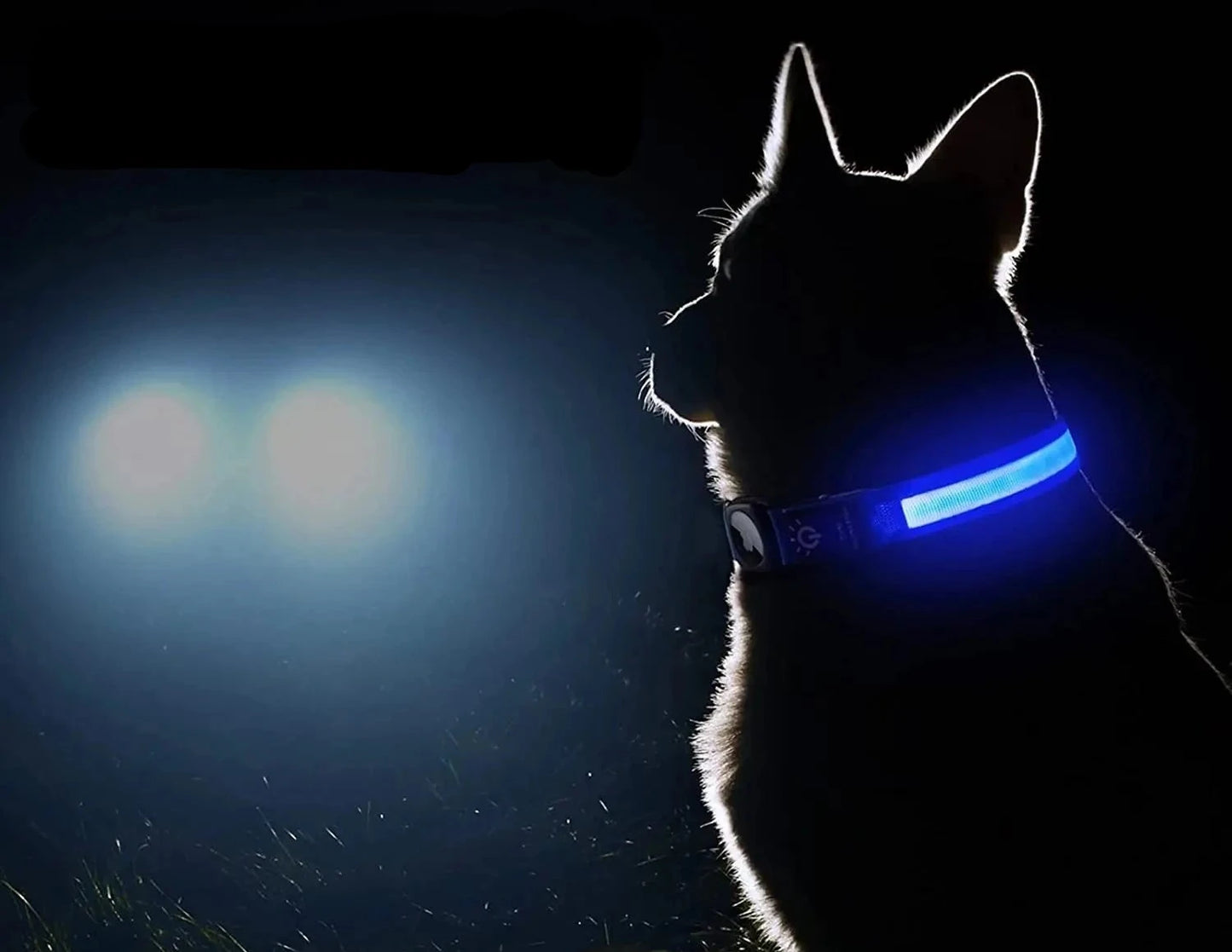 LED Hundehalsband mit Apple Airtek Tracker