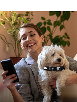 LED Hundehalsband mit Apple Airtek Tracker