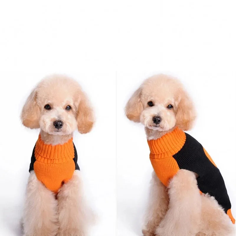 Halloween Hunde Pullover