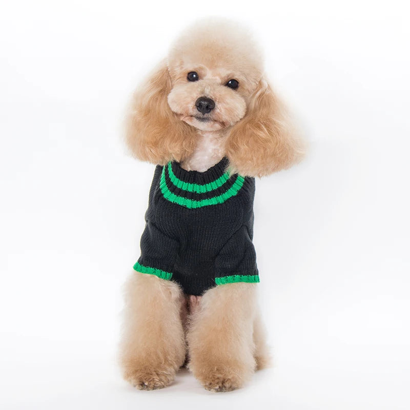 Halloween Hunde Pullover